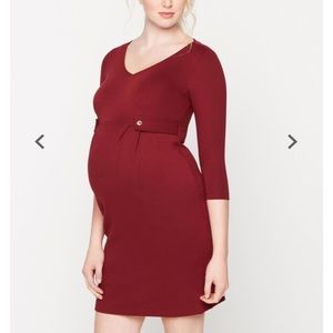 Isabella Oliver Maternity Dress